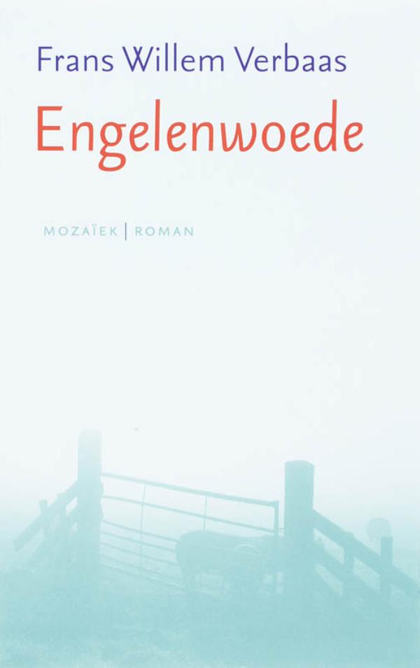 Omslag van Engelenwoede