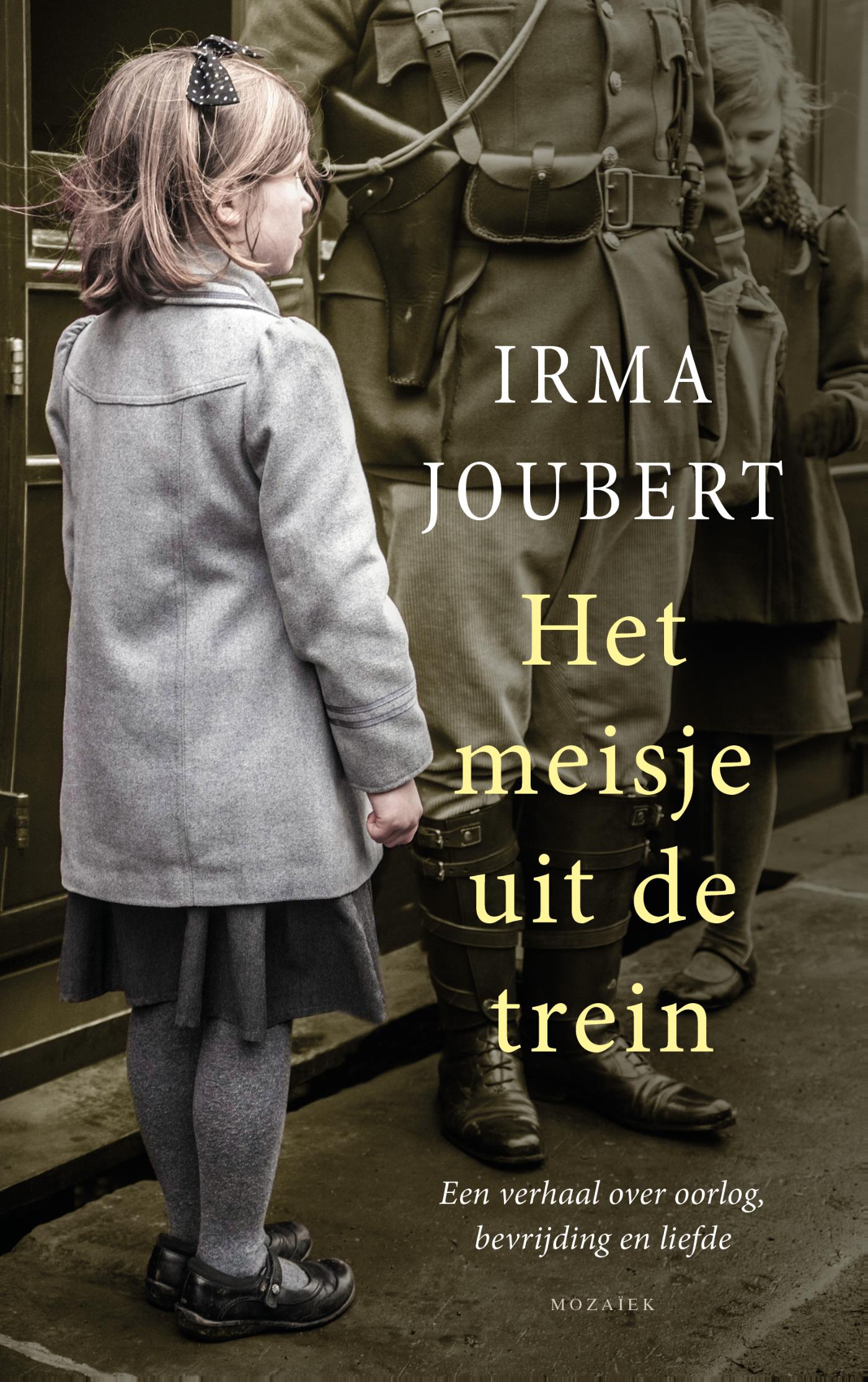 Omslag van Het meisje uit de trein