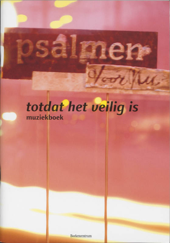 Omslag van Totdat het veilig is