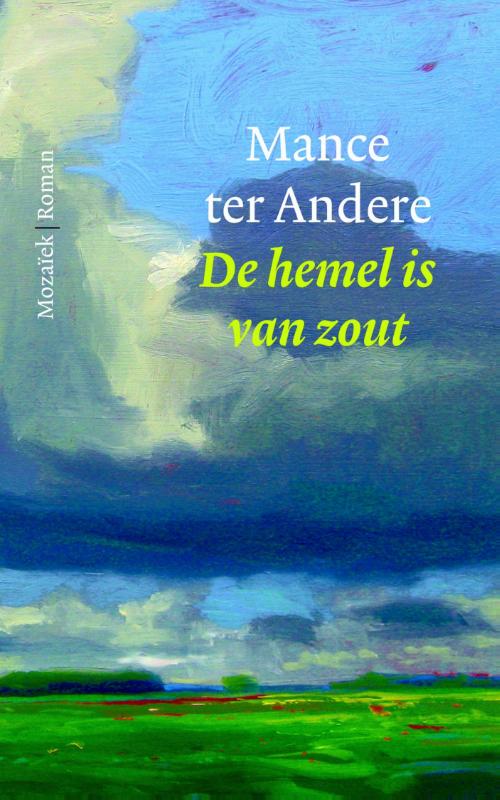 Omslag van De hemel is van zout
