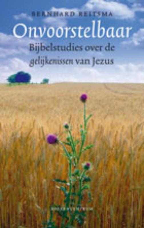 Omslag van Onvoorstelbaar