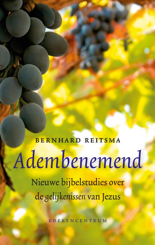 Omslag van Adembenemend