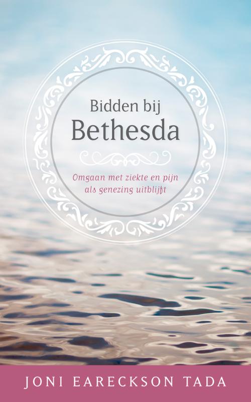 Omslag van Bidden bij Bethesda
