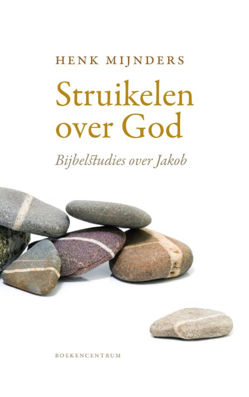 Omslag van Struikelen over God