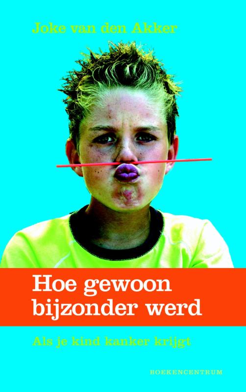 Omslag van Hoe gewoon bijzonder werd