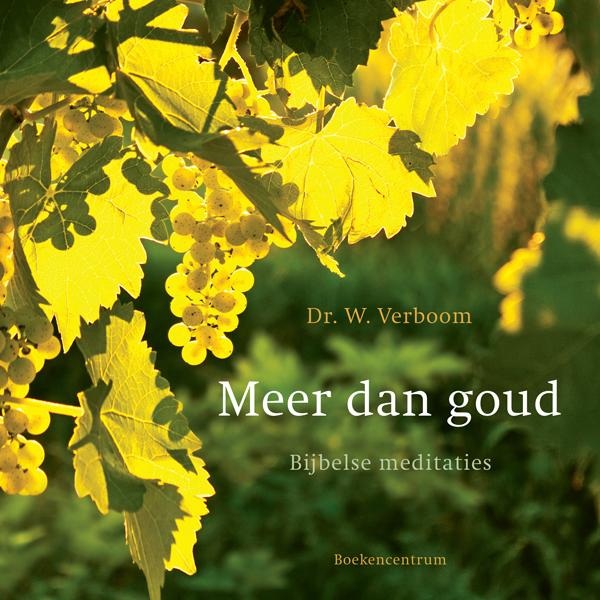 Omslag van Meer dan goud