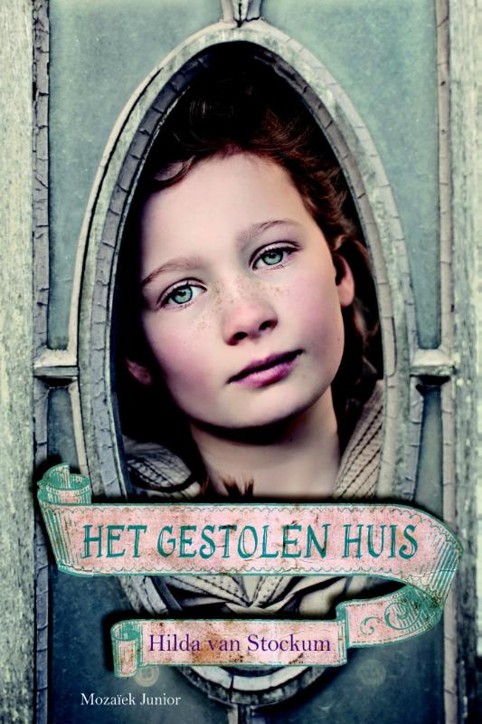 Omslag van Het gestolen huis