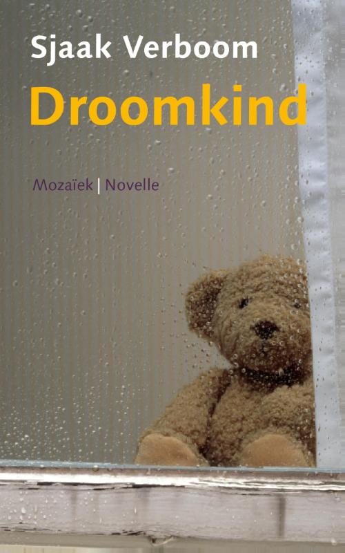 Omslag van Droomkind