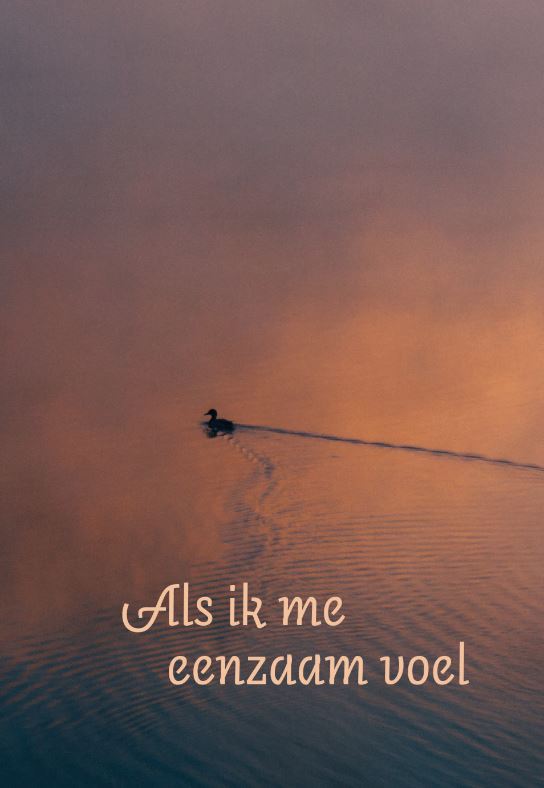 Omslag van Als ik me eenzaam voel