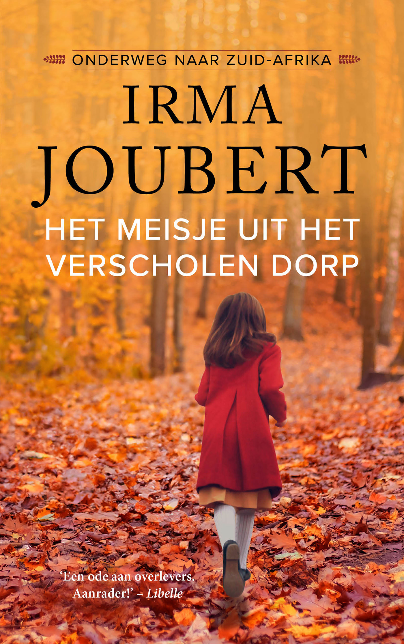 Omslag van Het meisje uit het verscholen dorp