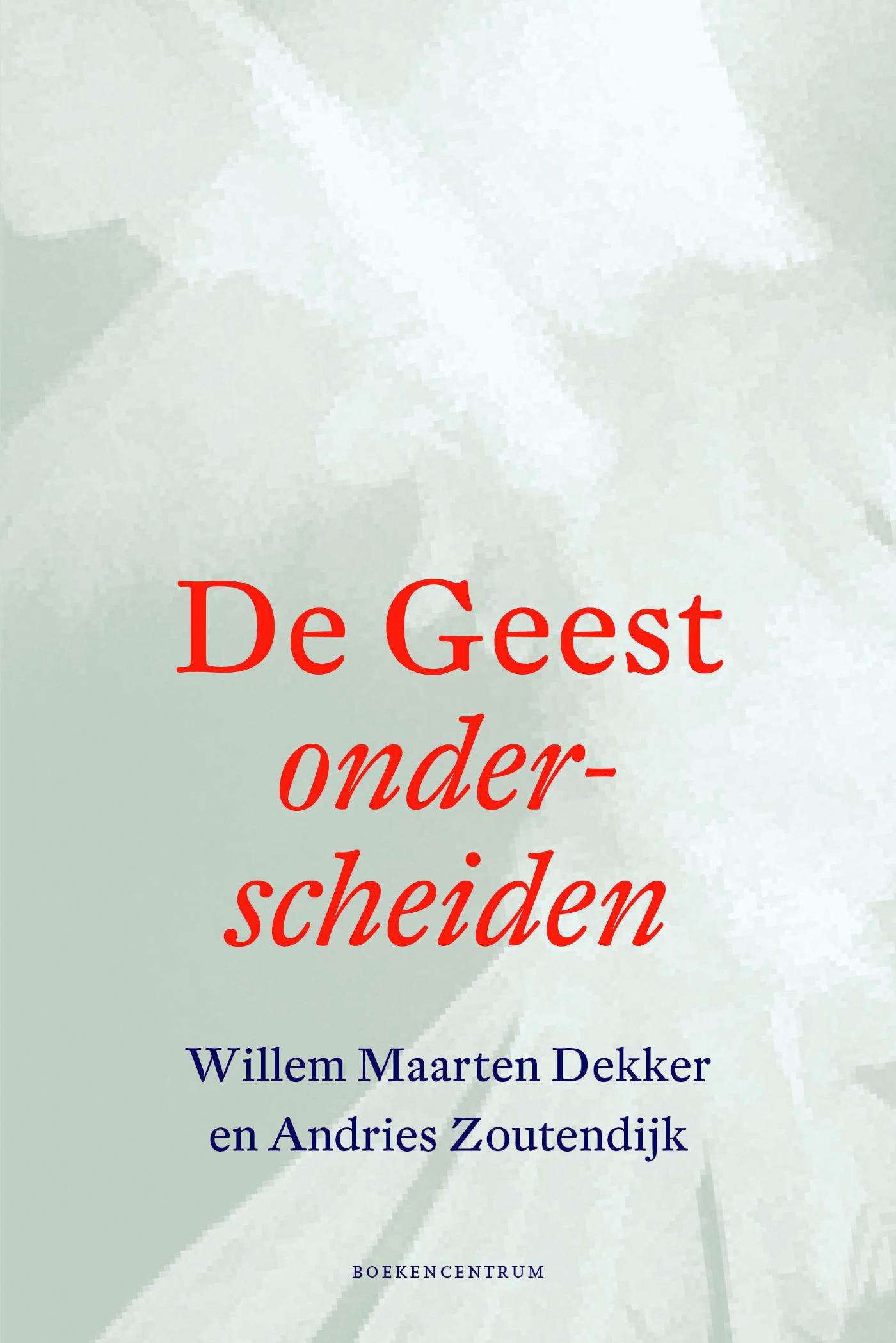 Omslag van De geest onderscheiden