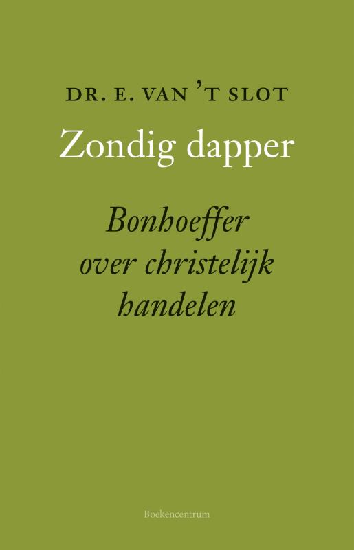 Omslag van Zondig dapper