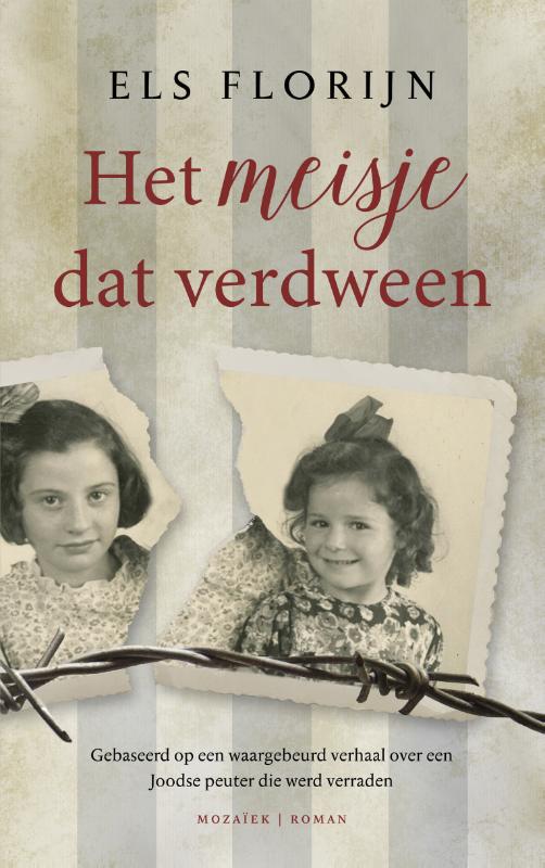 Omslag van Het meisje dat verdween