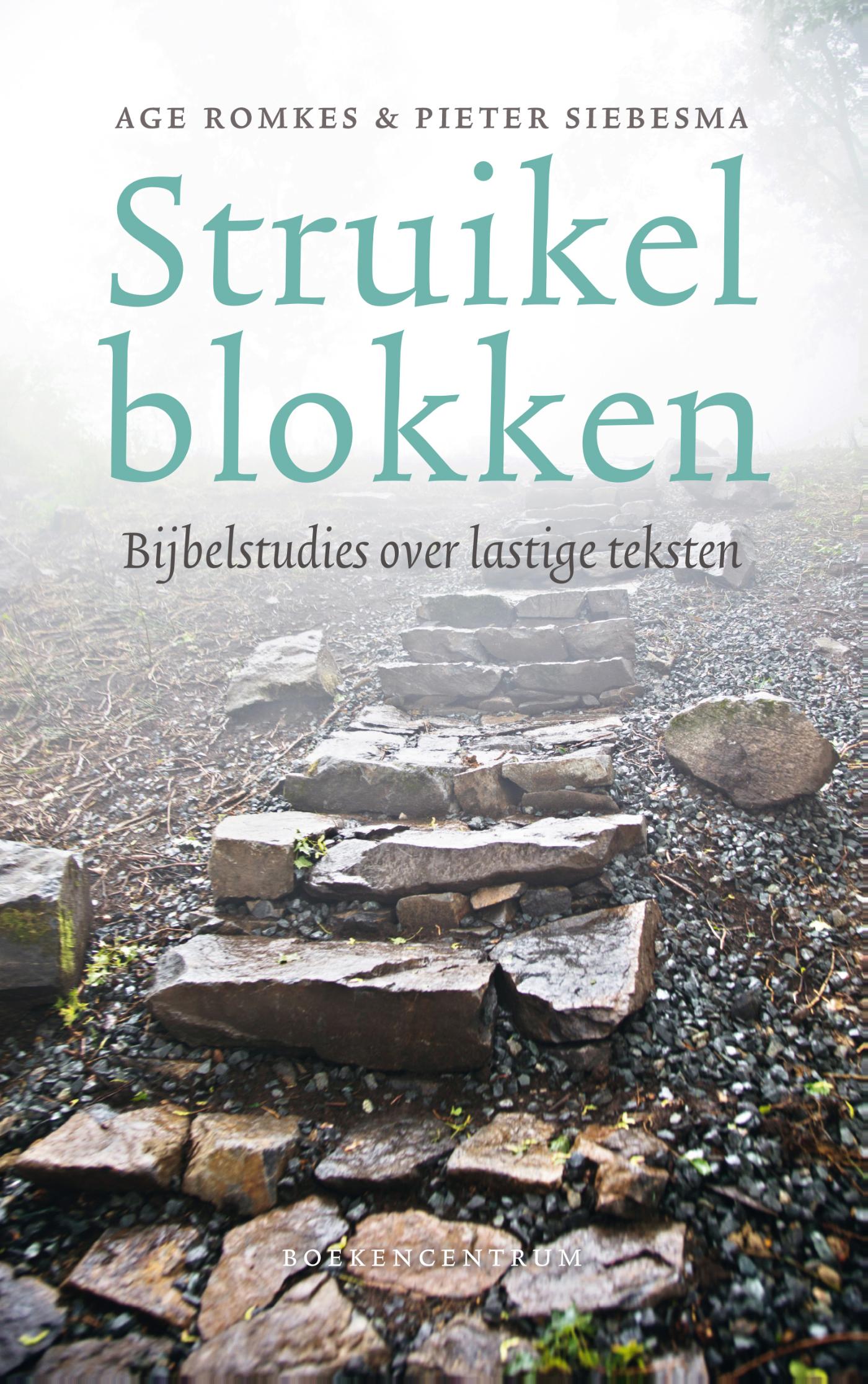Omslag van Struikelblokken