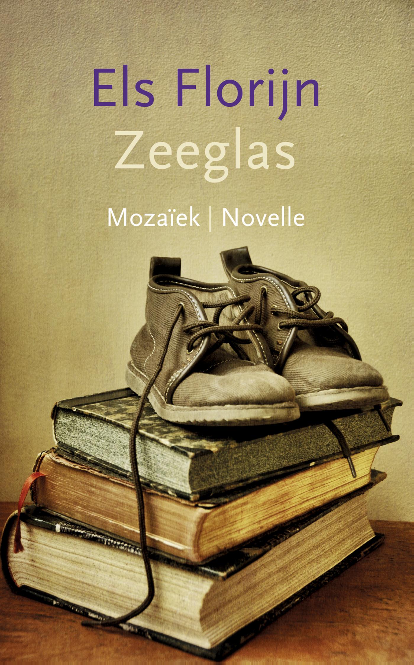 Omslag van Zeeglas