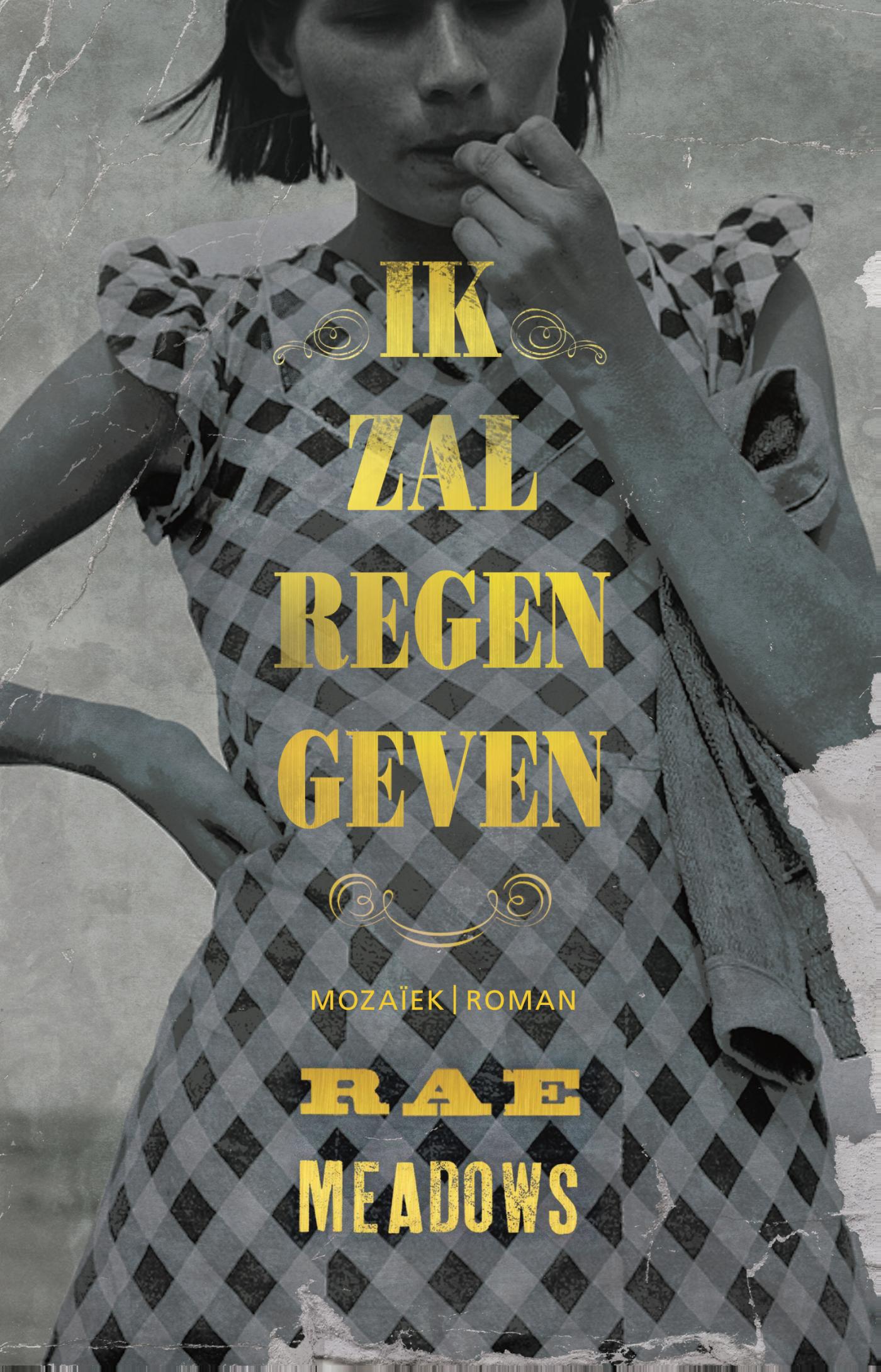 Omslag van Ik zal regen geven