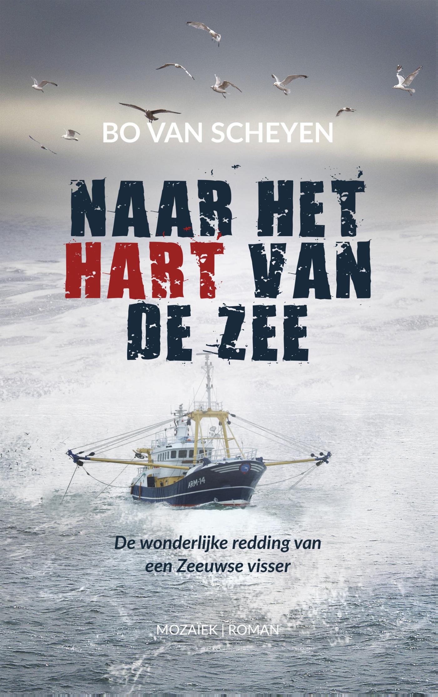 Omslag van Naar het hart van de zee