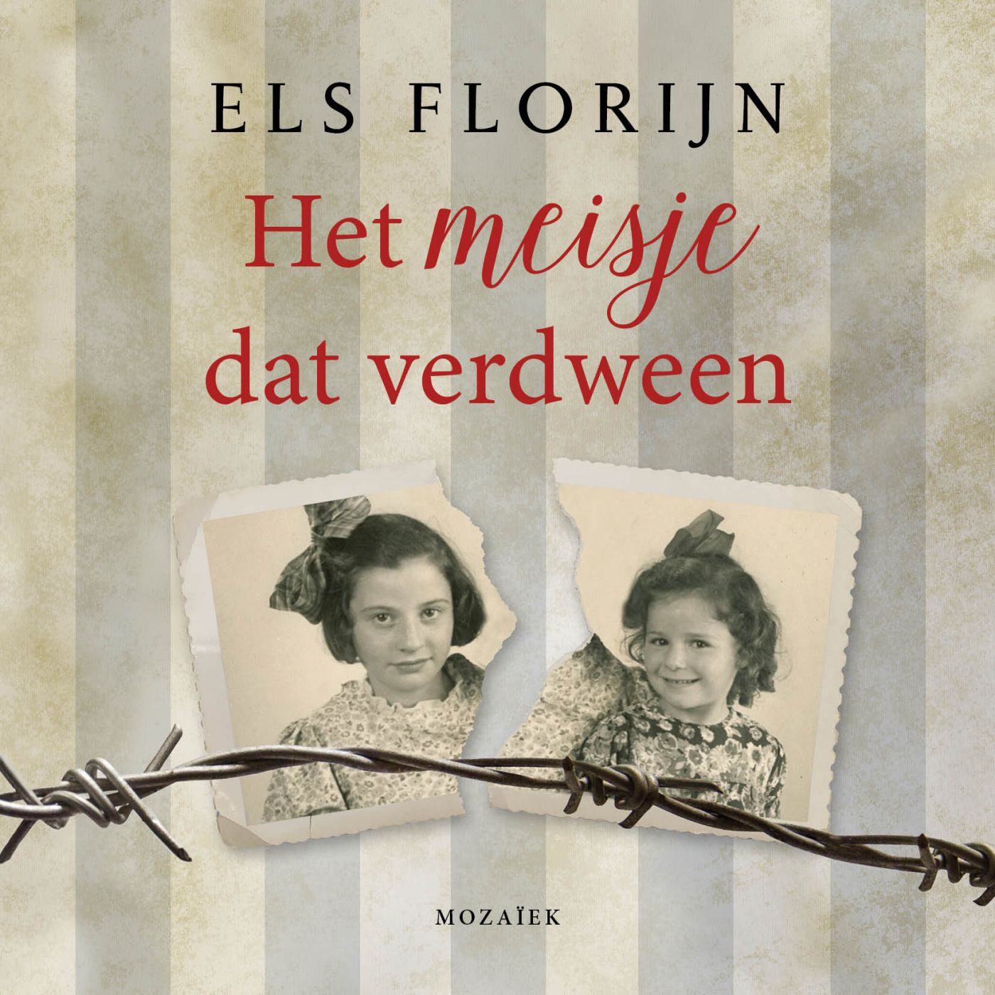 Omslag van Het meisje dat verdween