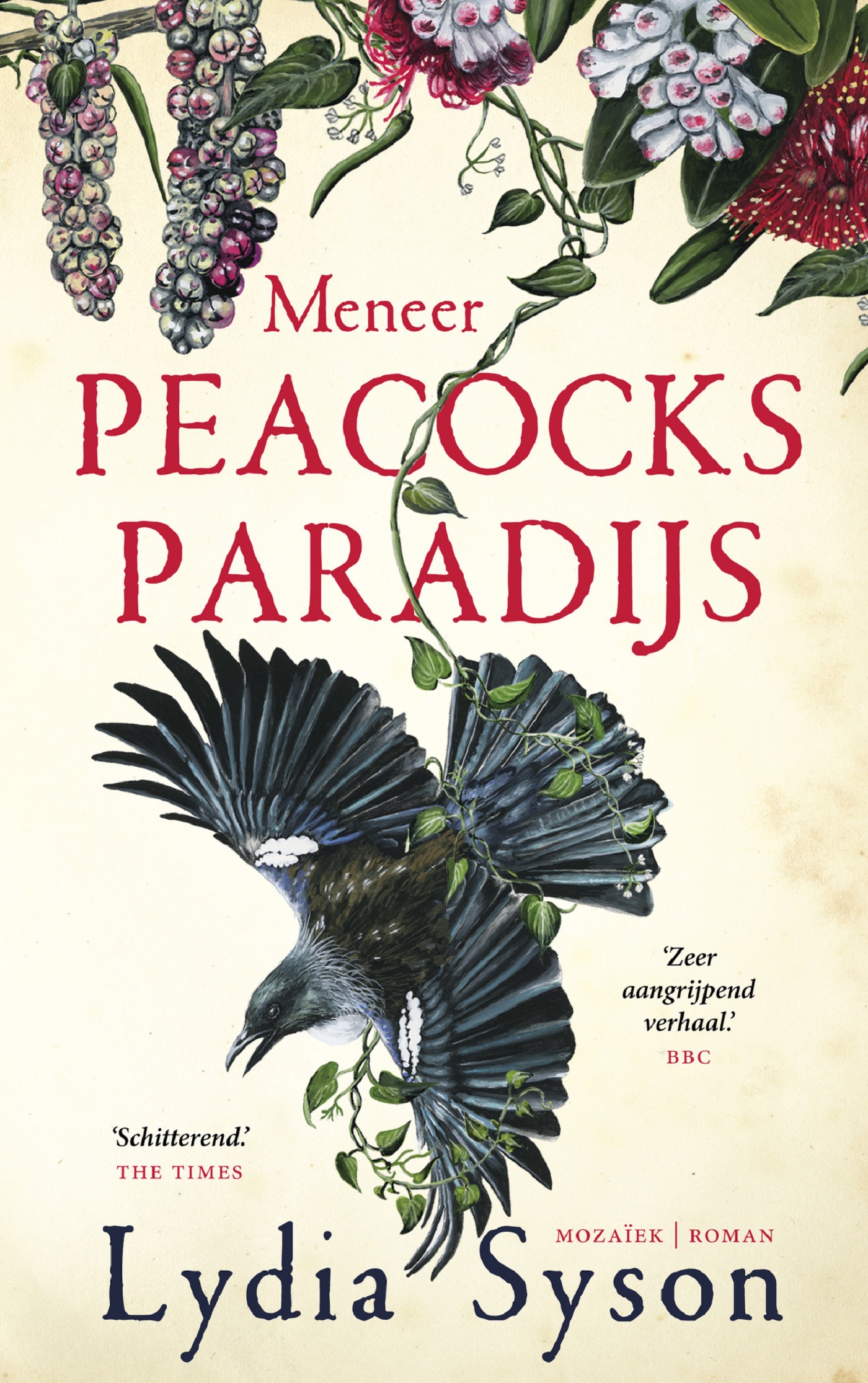 Omslag van Meneer Peacocks paradijs