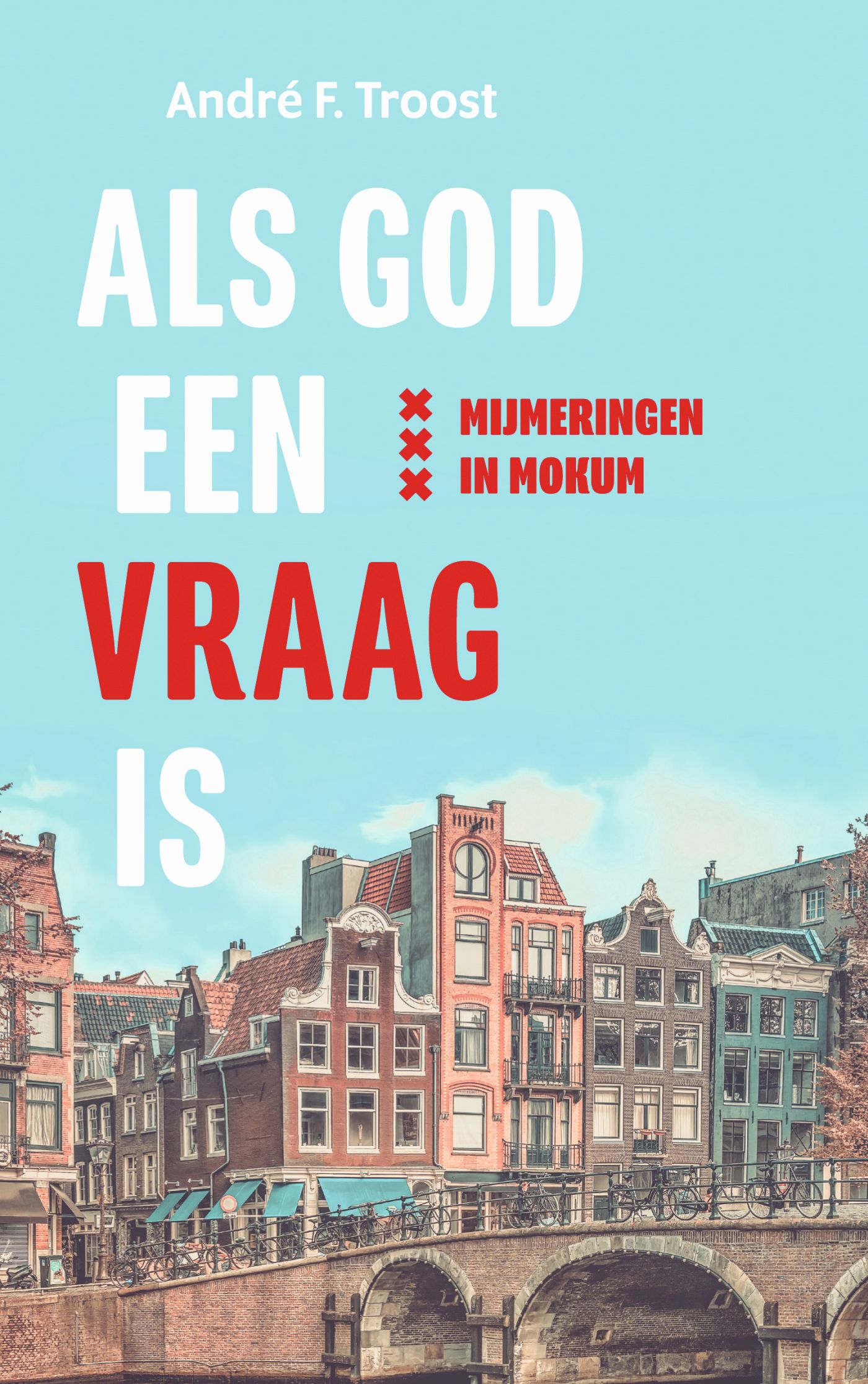 Omslag van Als God een vraag is