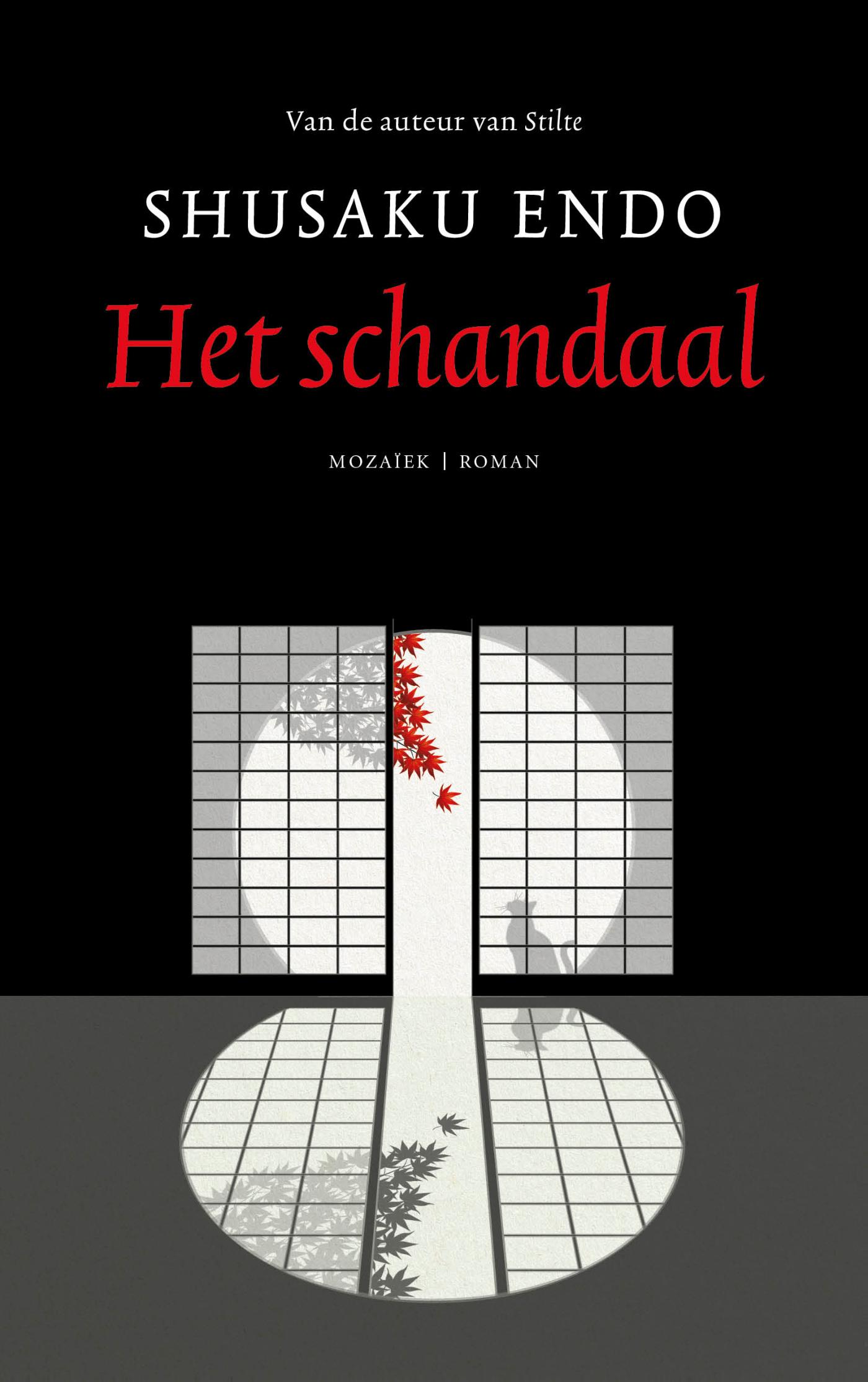 Omslag van Het schandaal