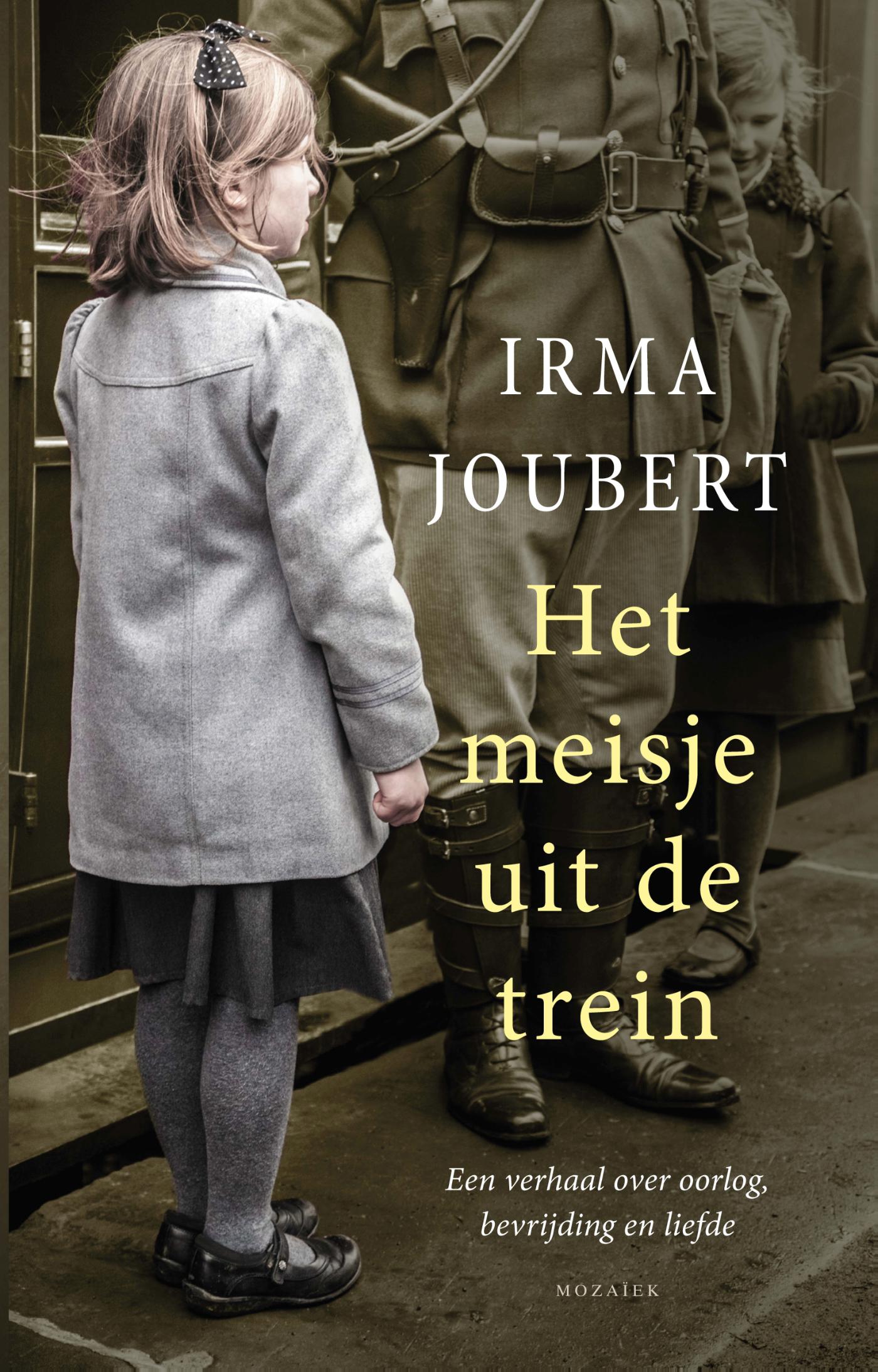 Omslag van Het meisje uit de trein