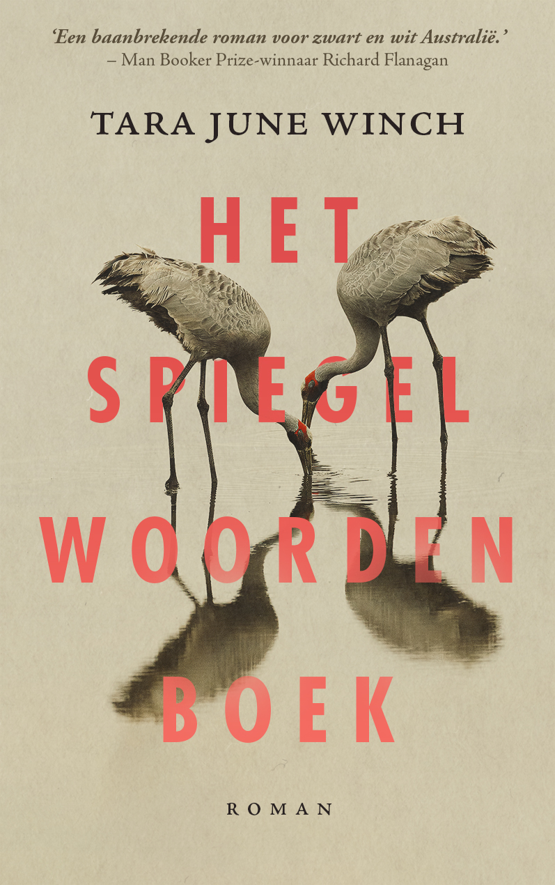 Omslag van Het spiegelwoordenboek