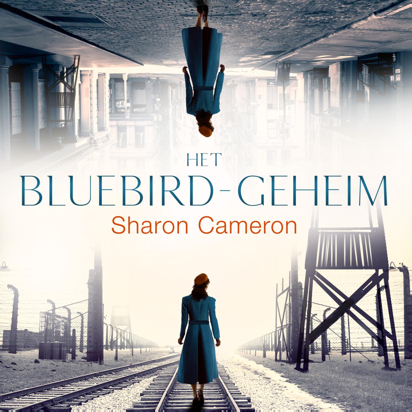 Omslag van Het Bluebird geheim