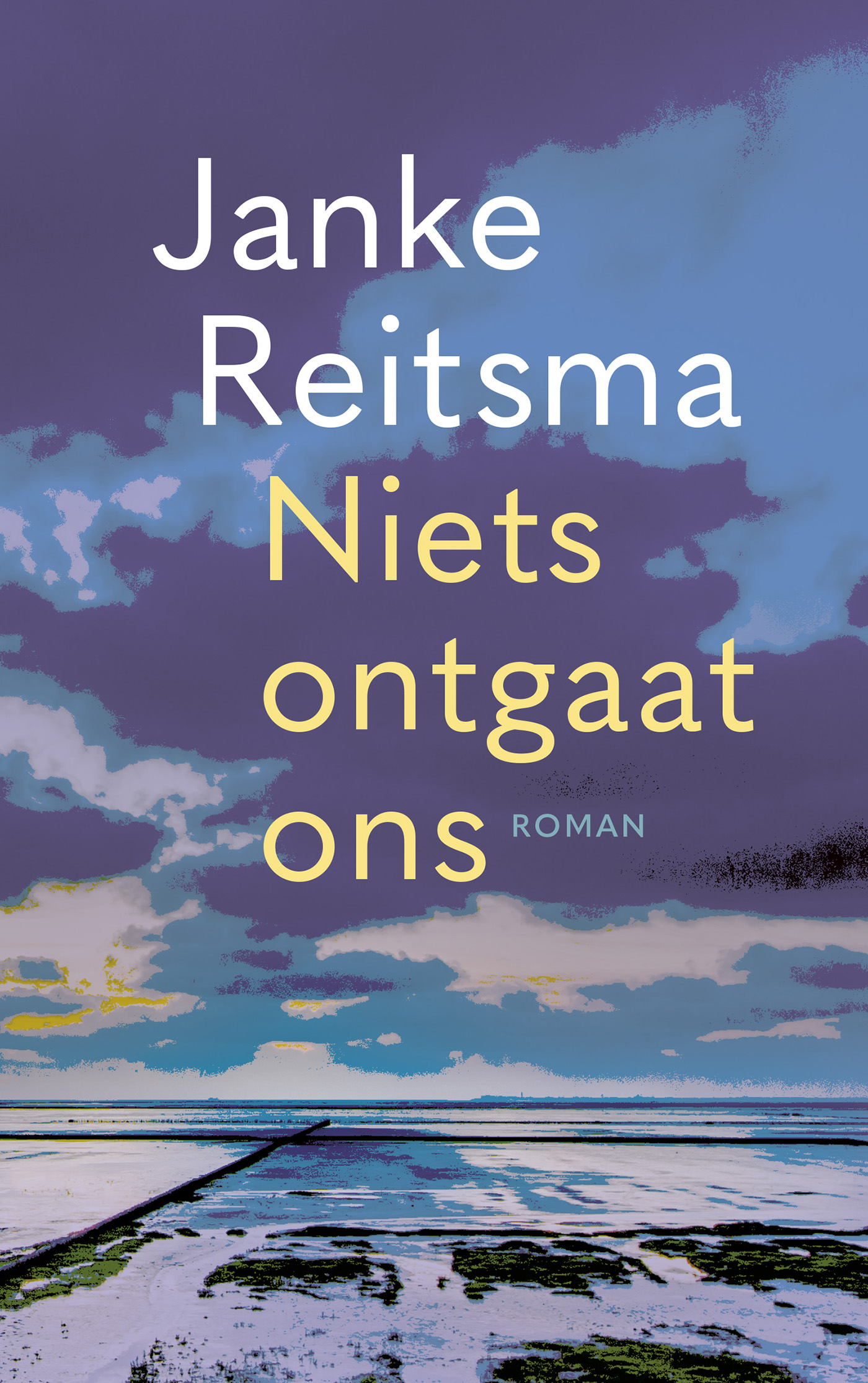 Omslag van Niets ontgaat ons