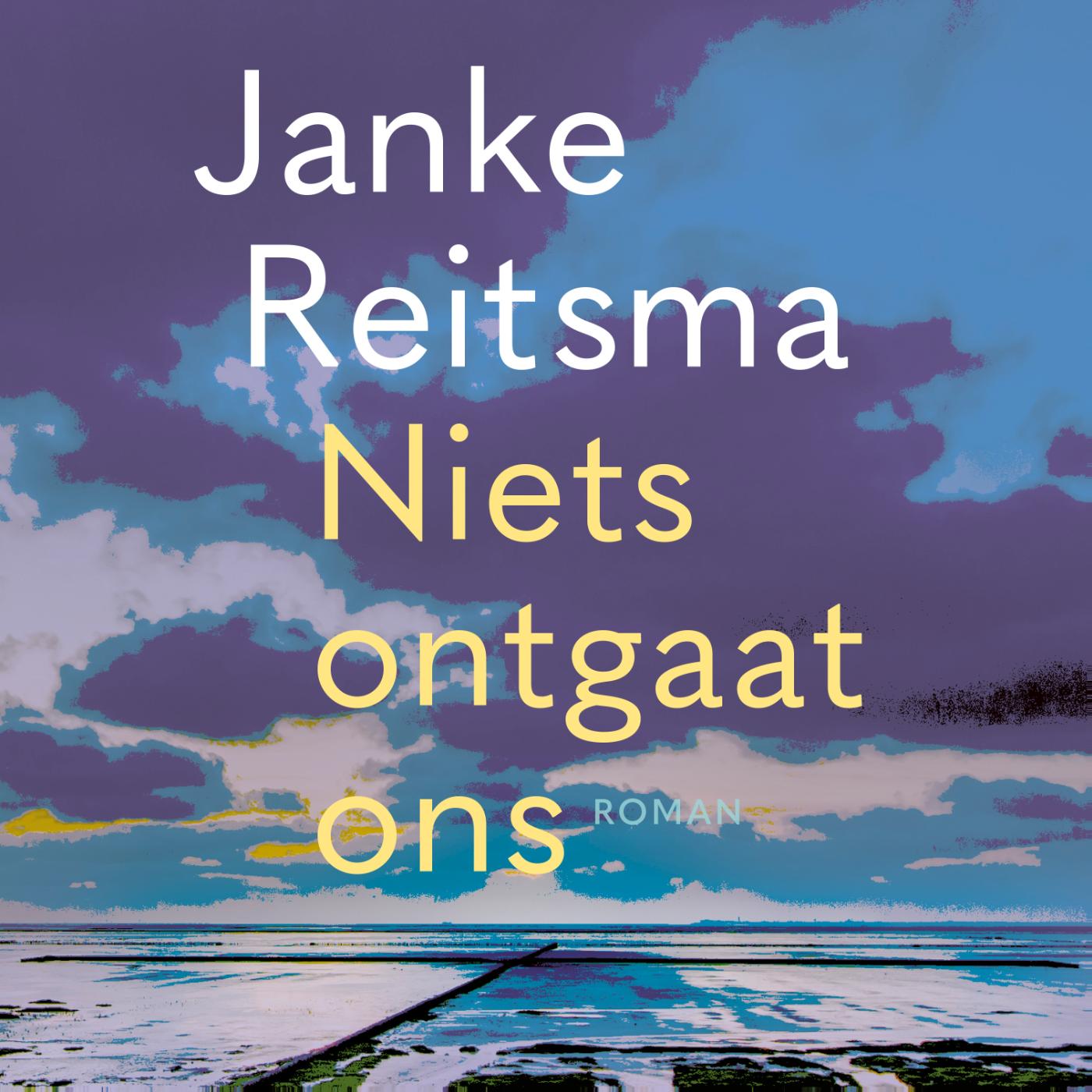 Omslag van Niets ontgaat ons