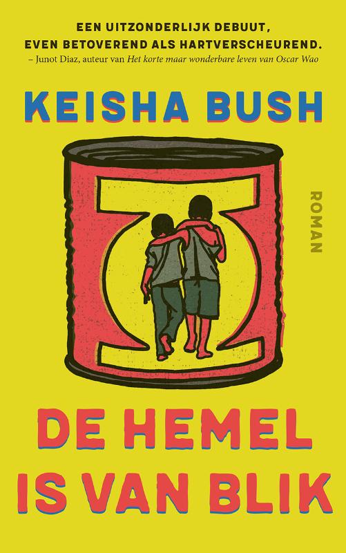 Omslag van De hemel is van blik