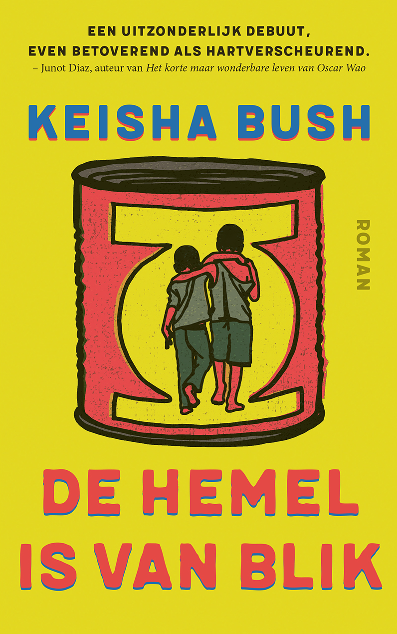 Omslag van De hemel is van blik
