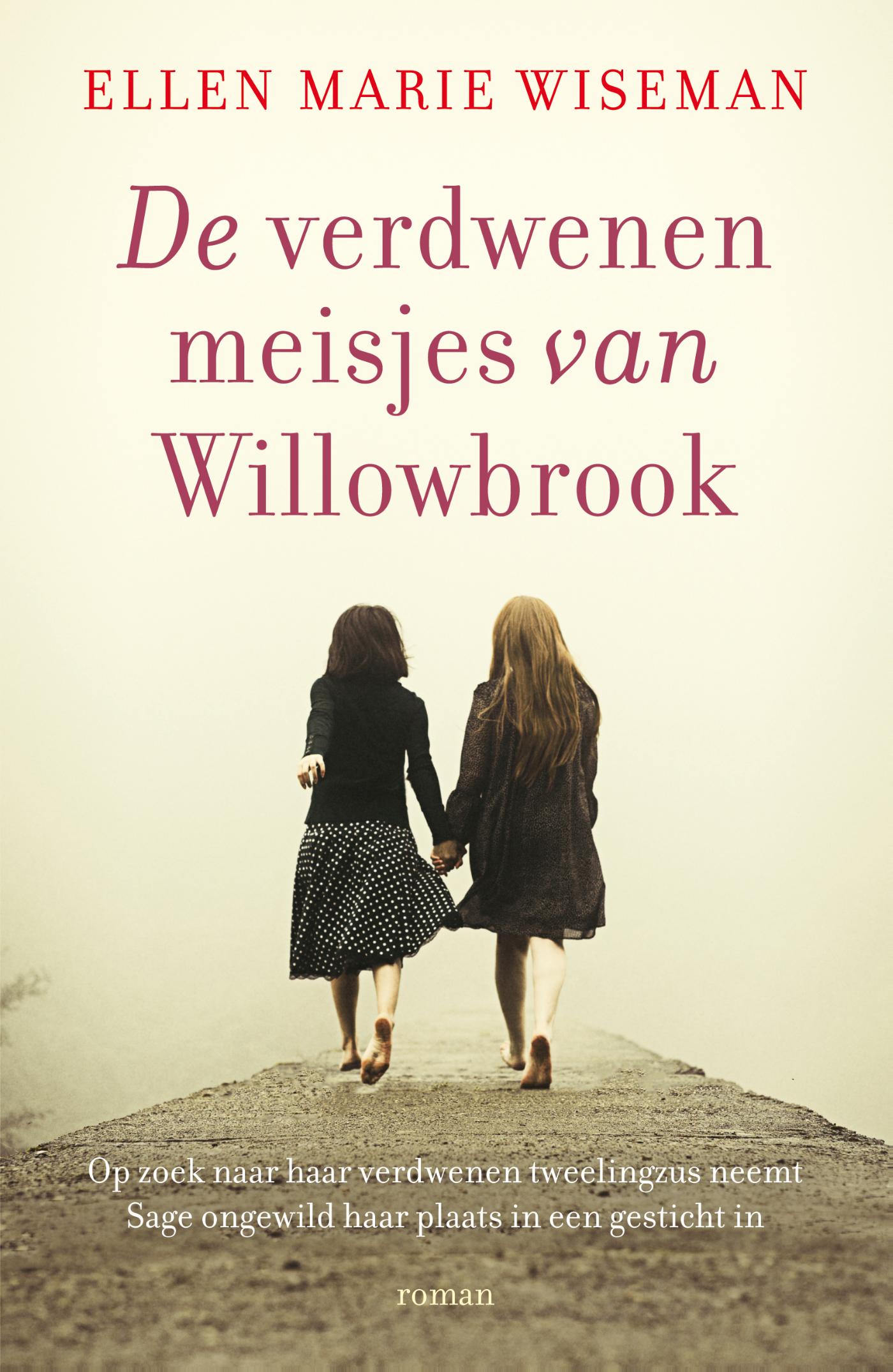 Omslag van De verdwenen meisjes van Willowbrook