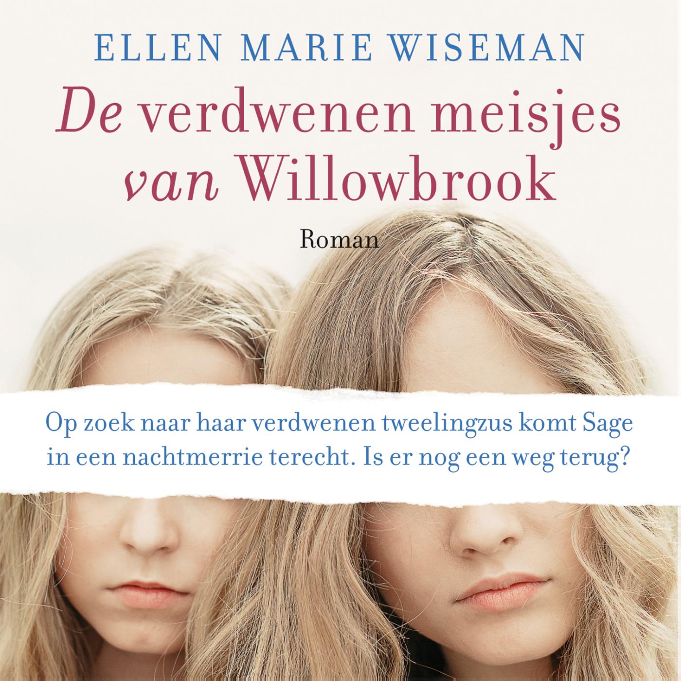 Omslag van De verdwenen meisjes van Willowbrook