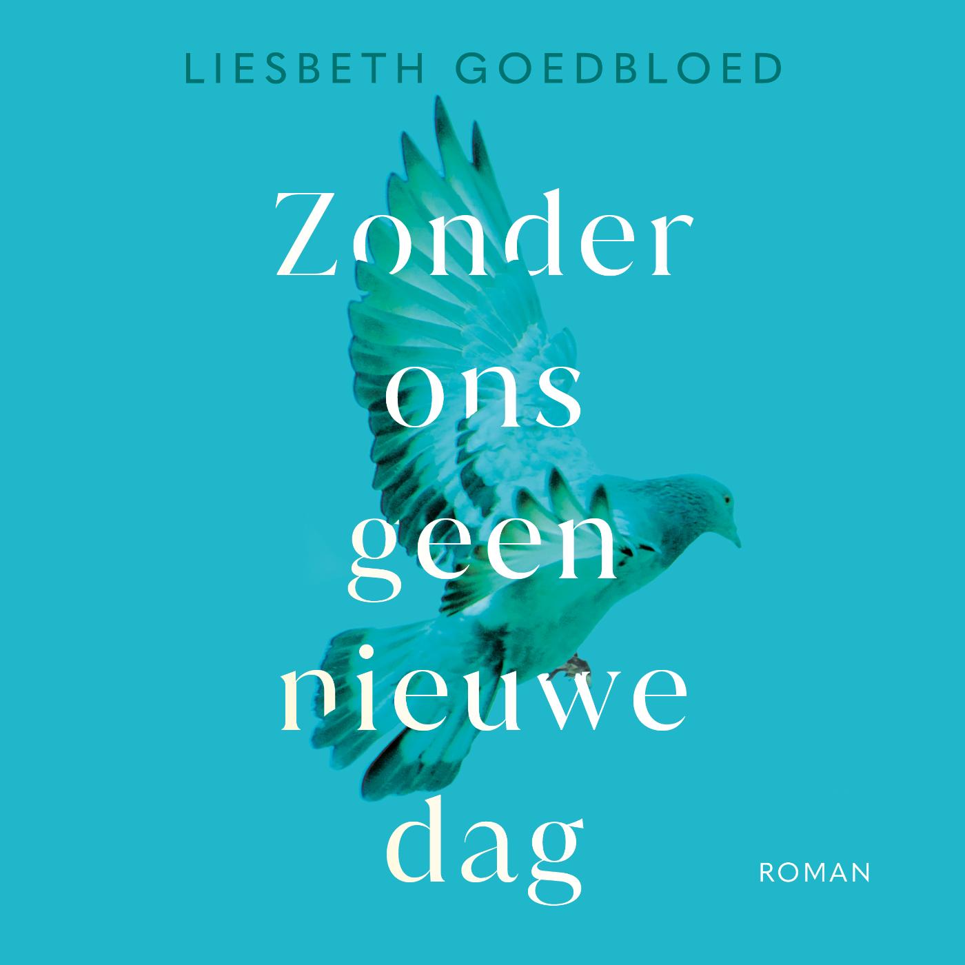 Omslag van Zonder ons geen nieuwe dag