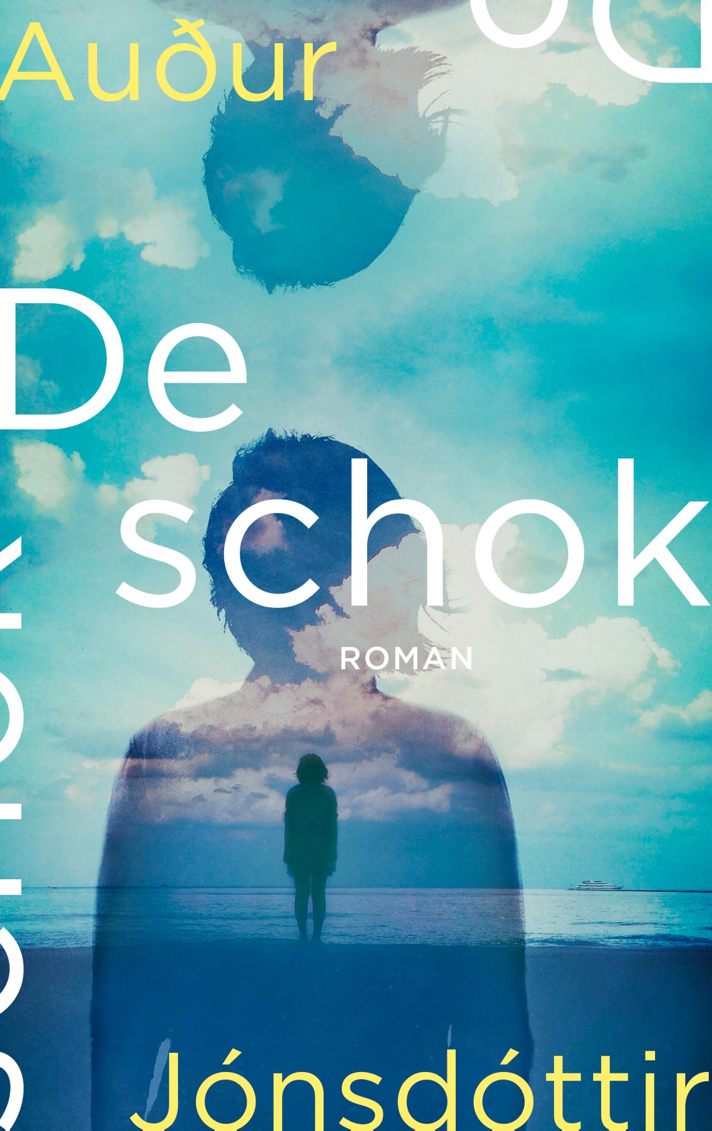 Omslag van De schok