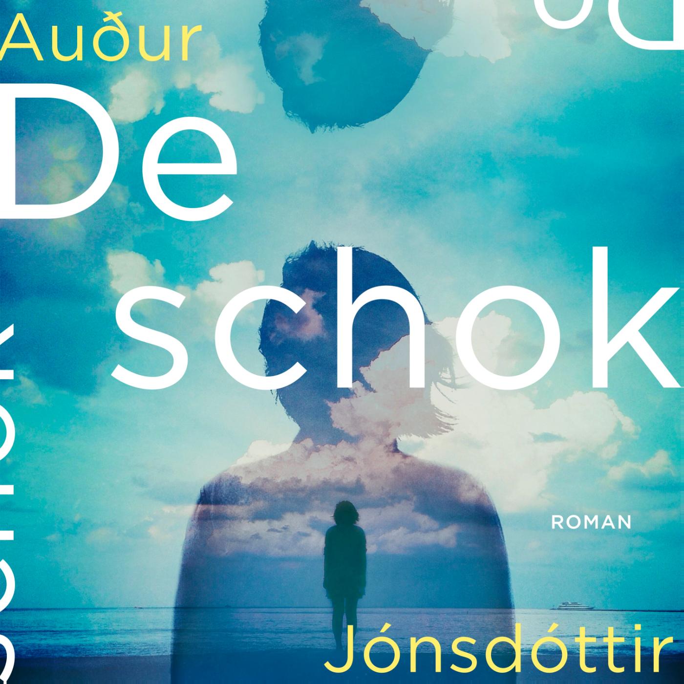 Omslag van De schok