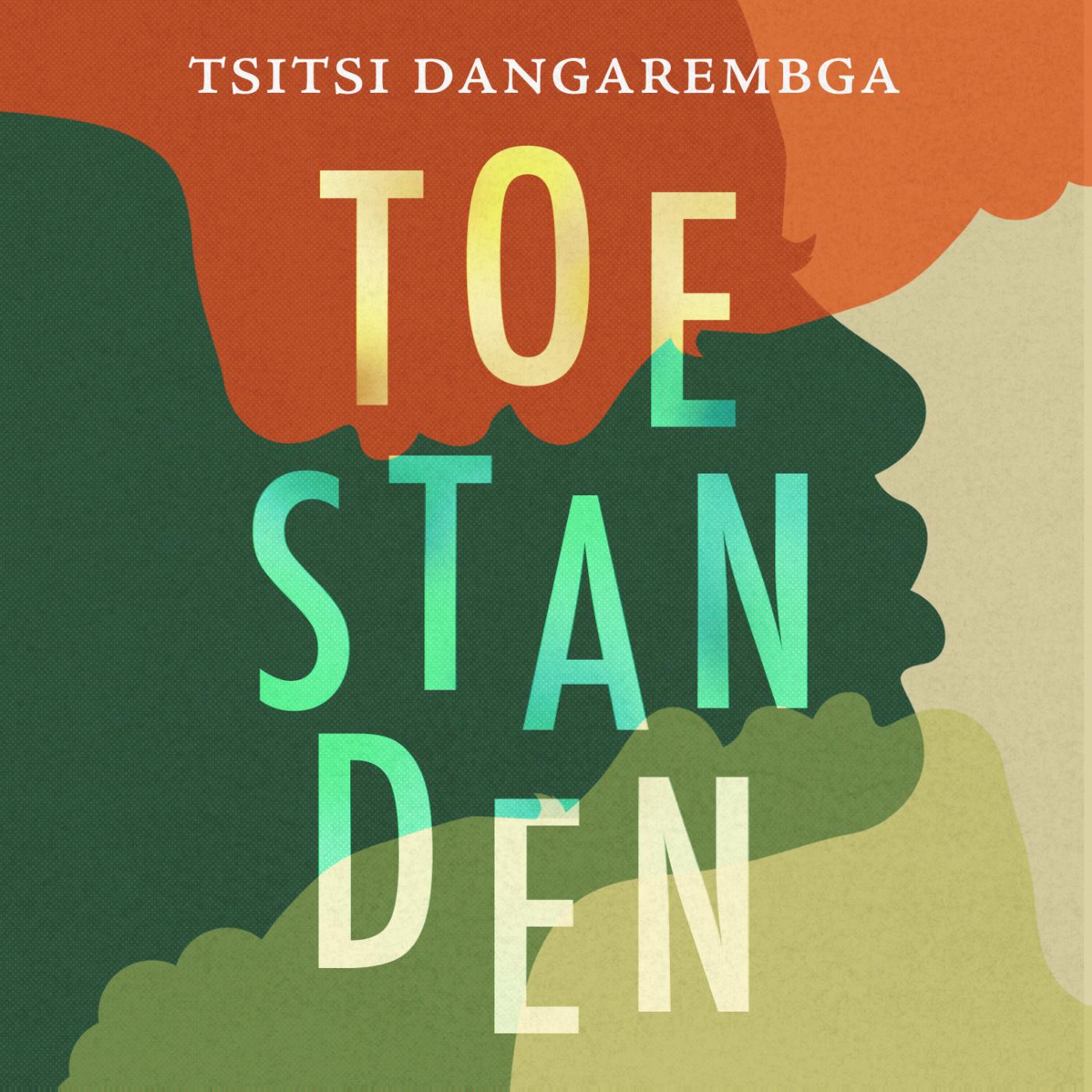 Omslag van Toestanden