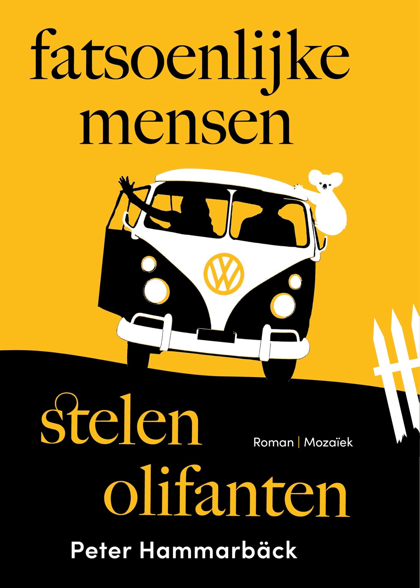 Omslag van Fatsoenlijke mensen stelen olifanten