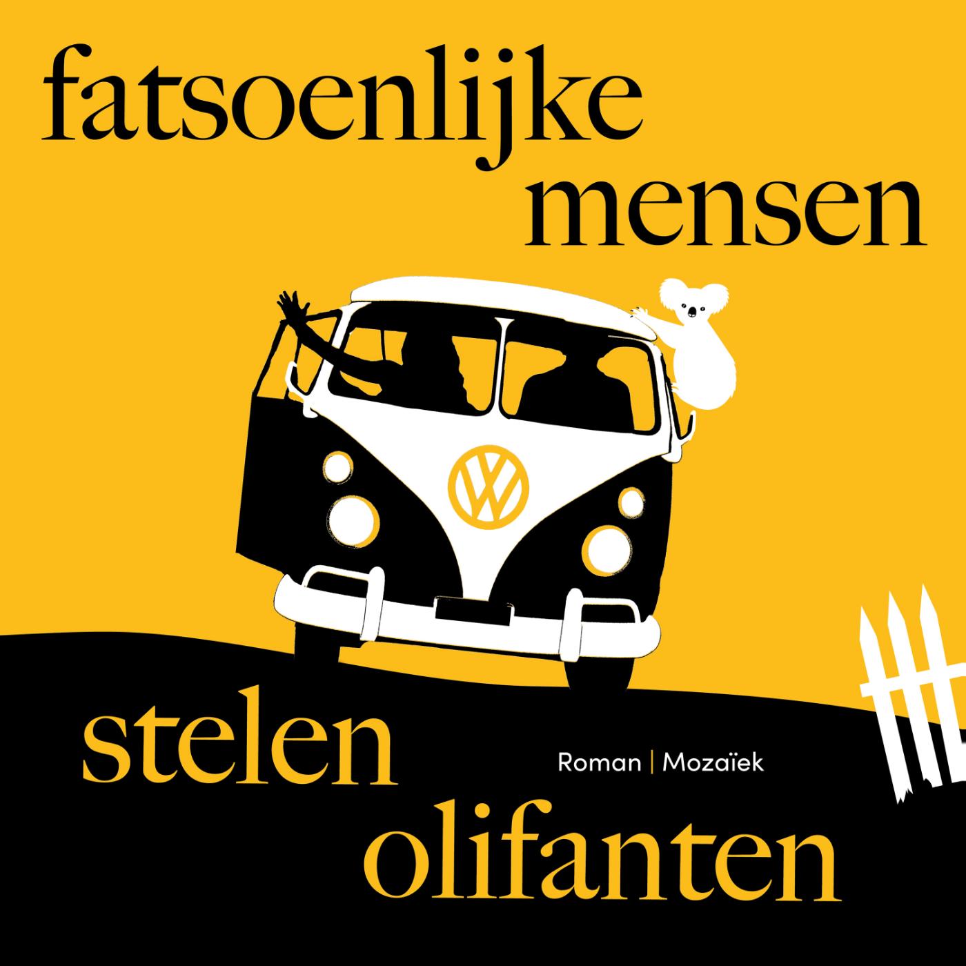 Omslag van Fatsoenlijke mensen stelen olifanten