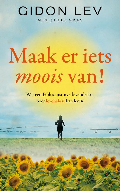 Omslag van Maak er iets moois van!