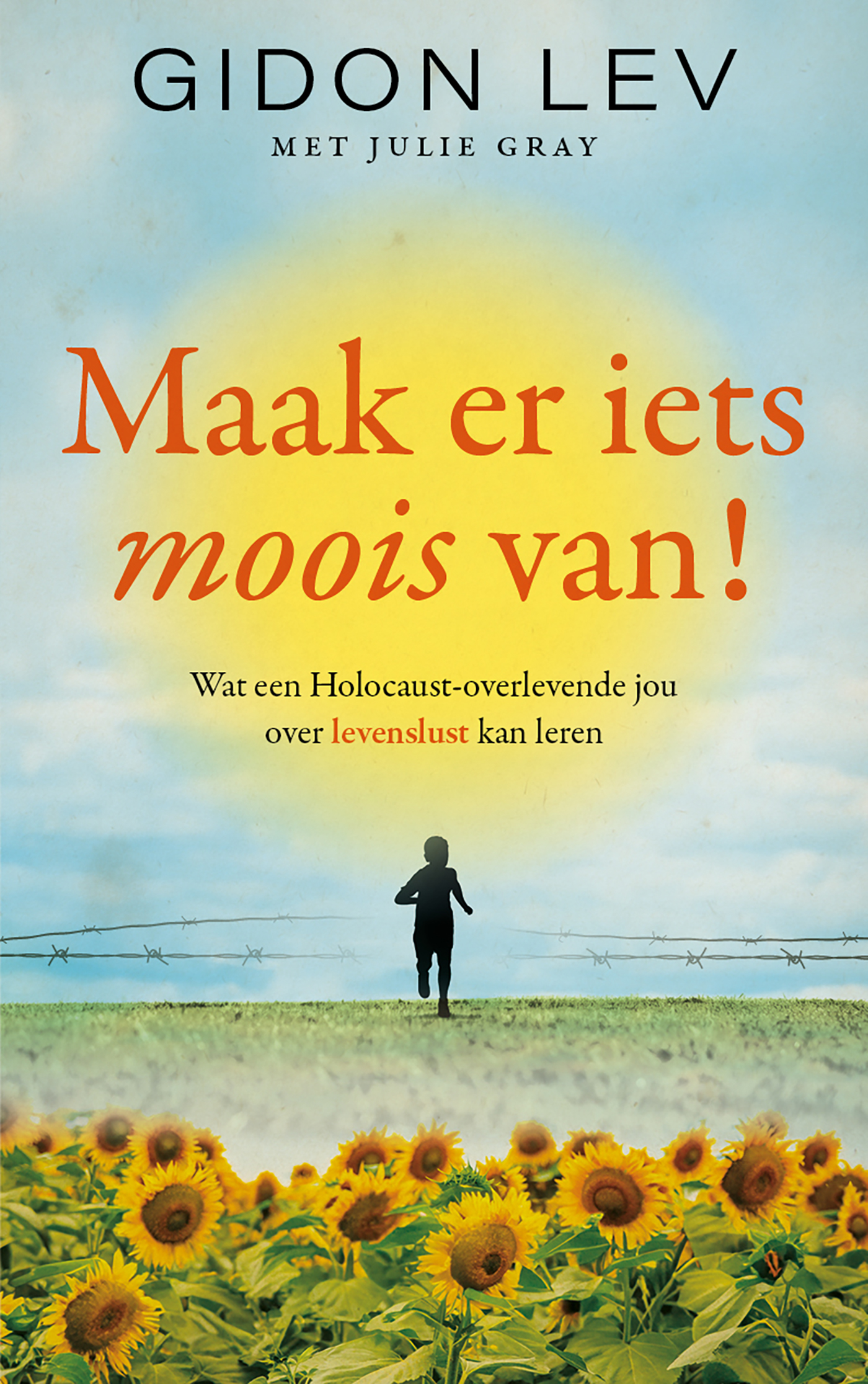 Omslag van Maak er iets moois van!
