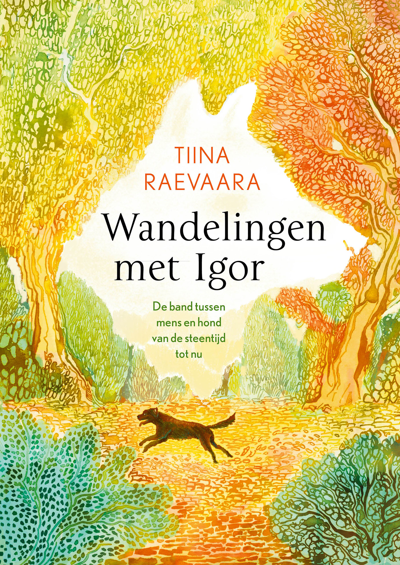 Omslag van Wandelingen met Igor