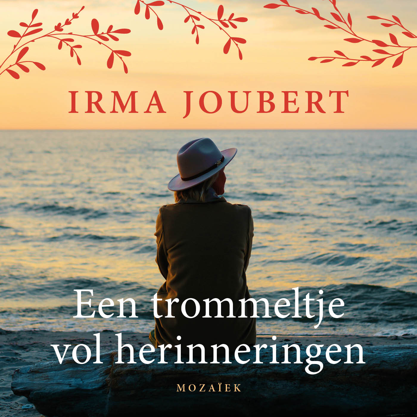 Omslag van Een trommeltje vol herinneringen