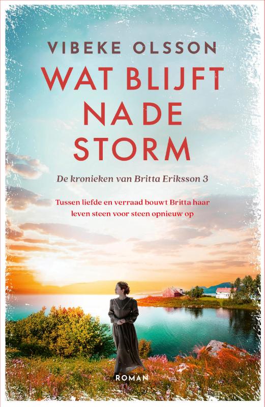 Omslag van Wat blijft na de storm