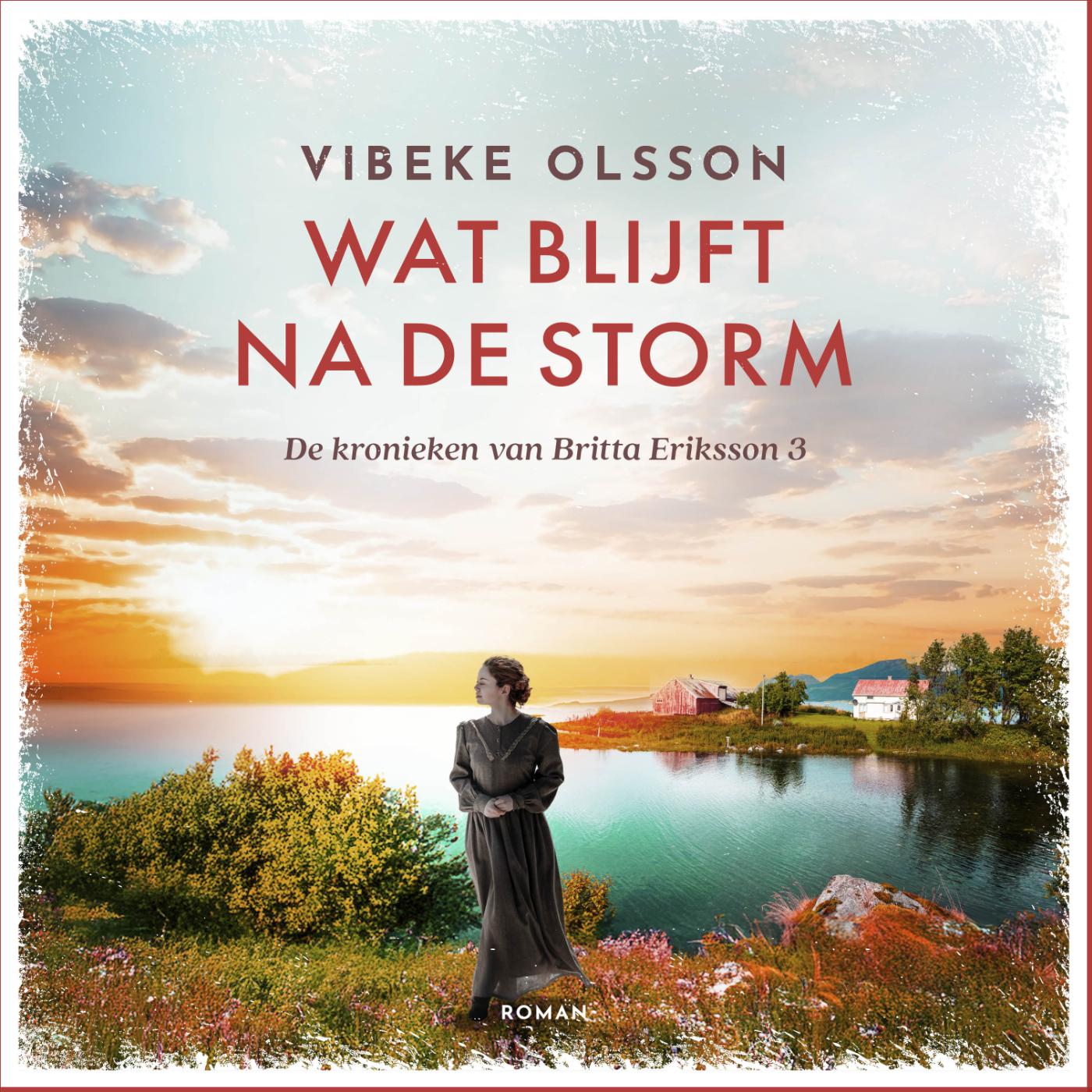 Omslag van Wat blijft na de storm