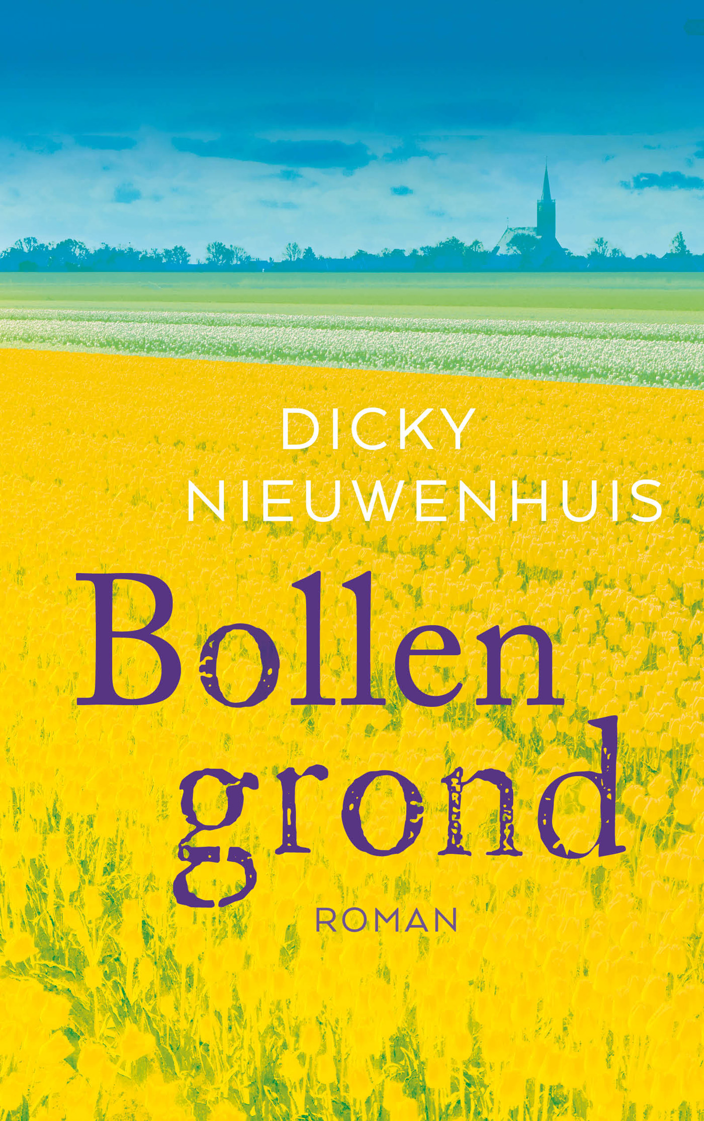 Omslag van Bollengrond