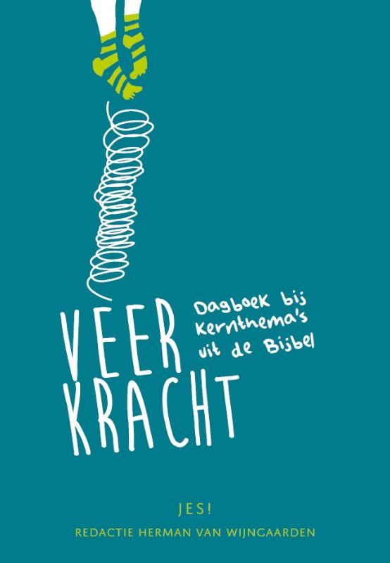 Omslag van Veerkracht