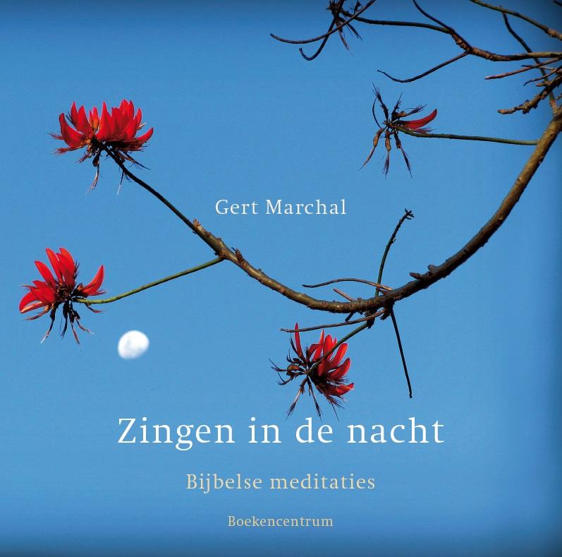 Omslag van Zingen in de nacht
