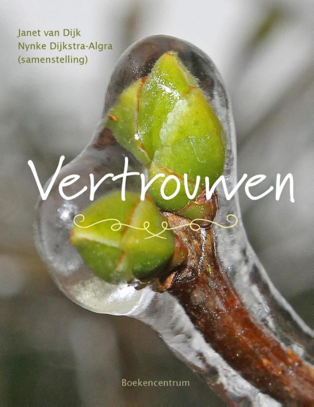 Omslag van Vertrouwen